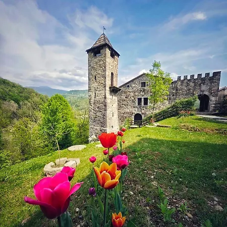 Dom wakacyjny Golden Spur *