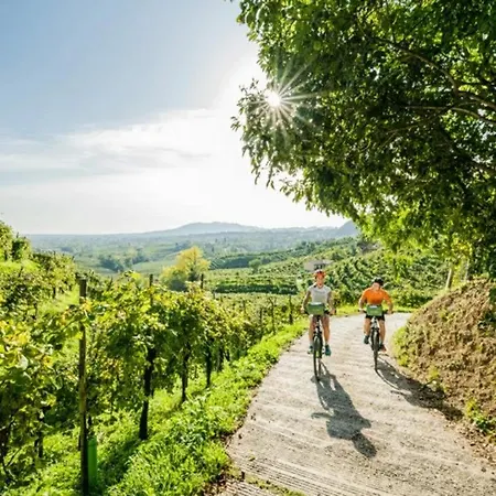 Golden Spur Dom wakacyjny *